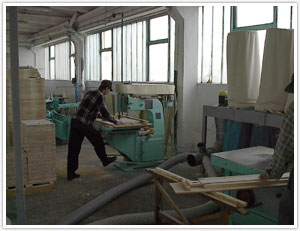 Prahova Industrial Parc - Valenii de Munte